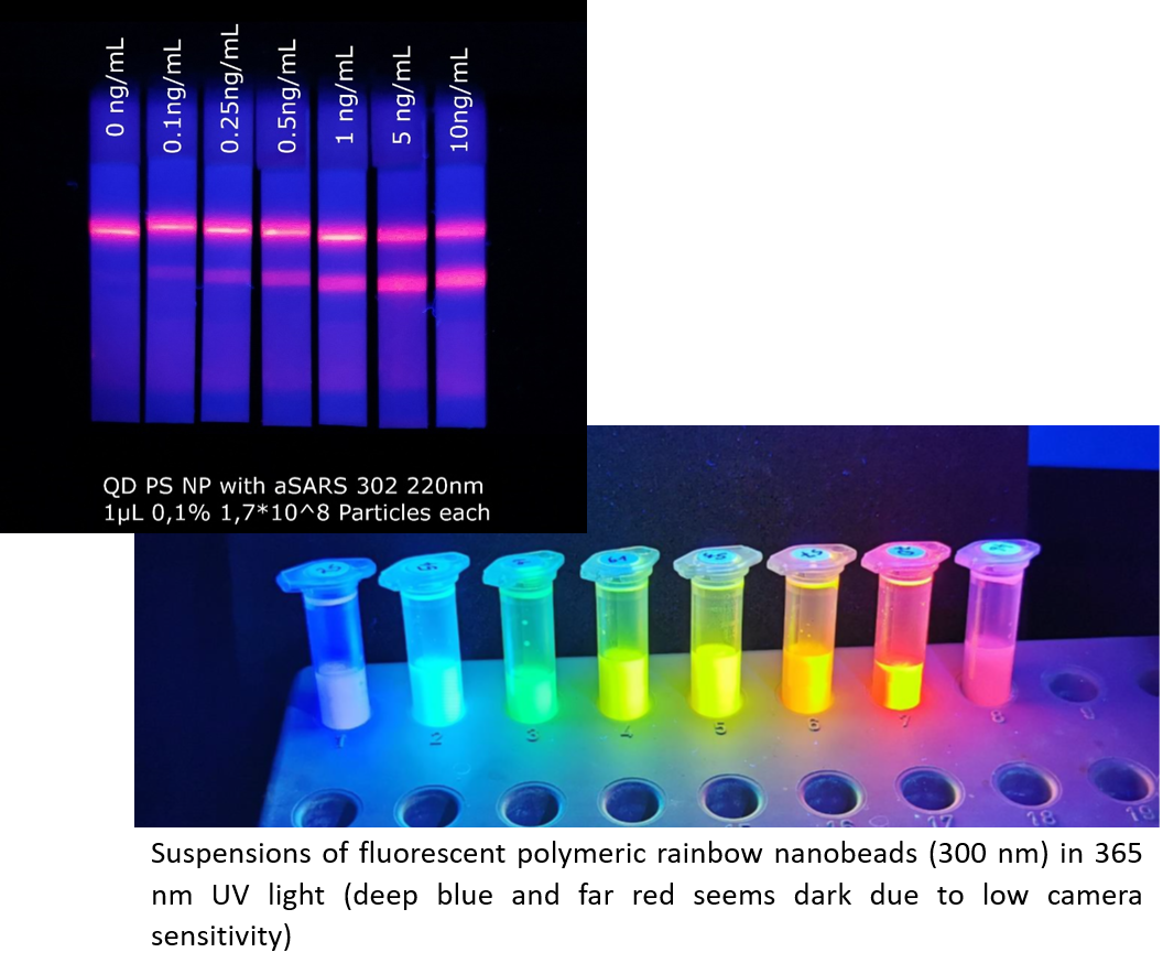 Polymer particles for fluorescence immunoassay
