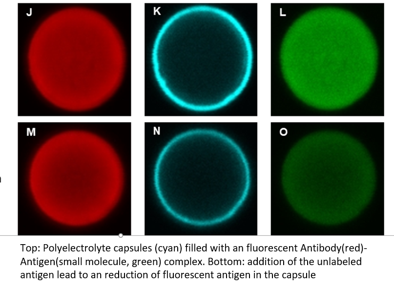 Microencapsulated antibodies for diagnostics