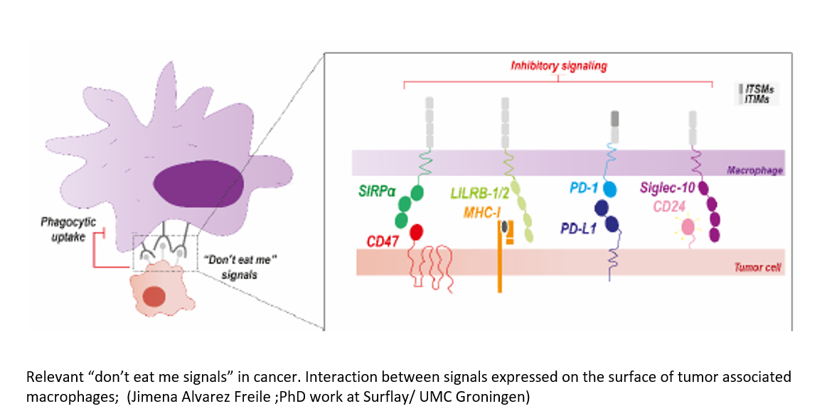 Nanomedicine against cancer (I – DireCT)