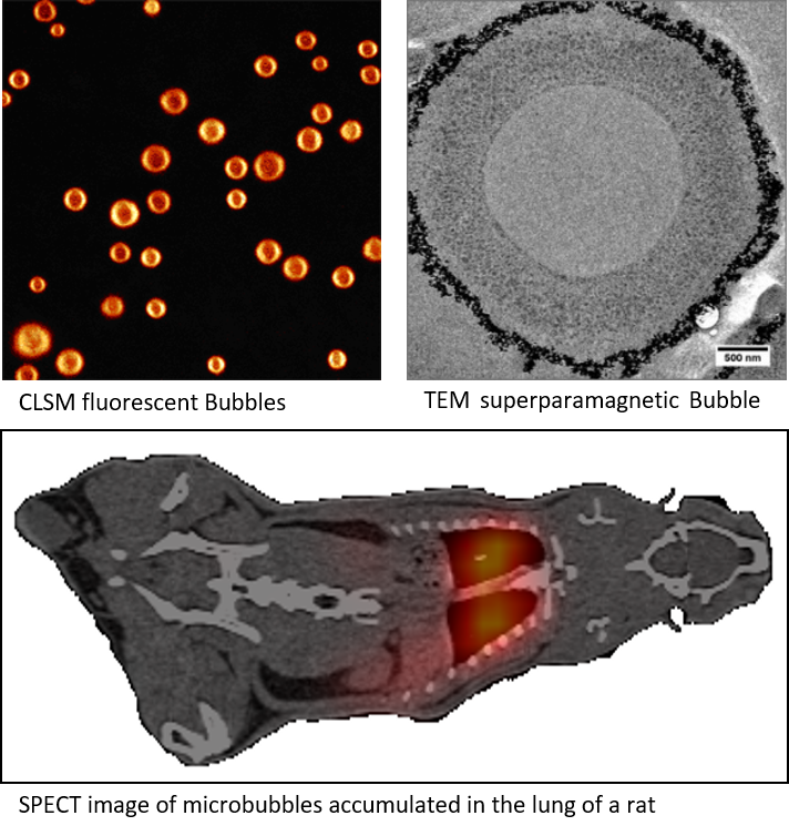 Development of multifunctional contrast agents for imaging procedures