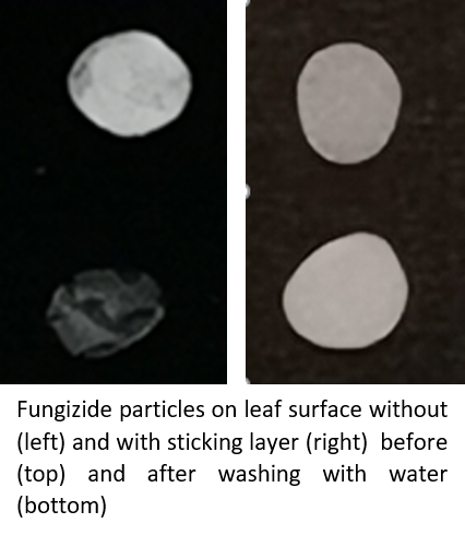 Encapsulation of fungicides