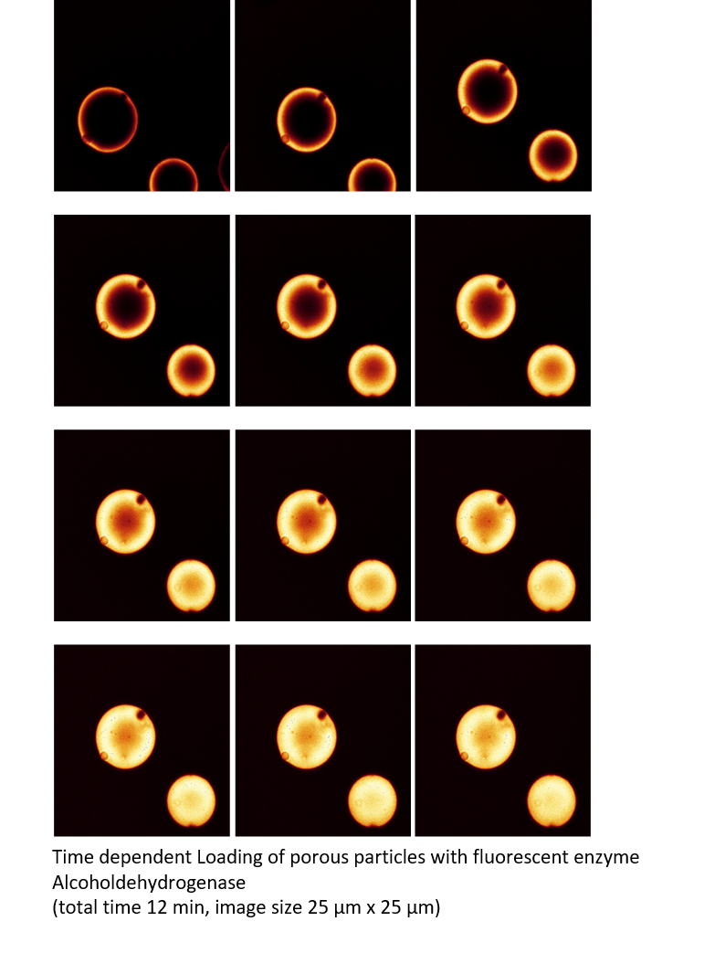 Adsorber particles enzyme technology