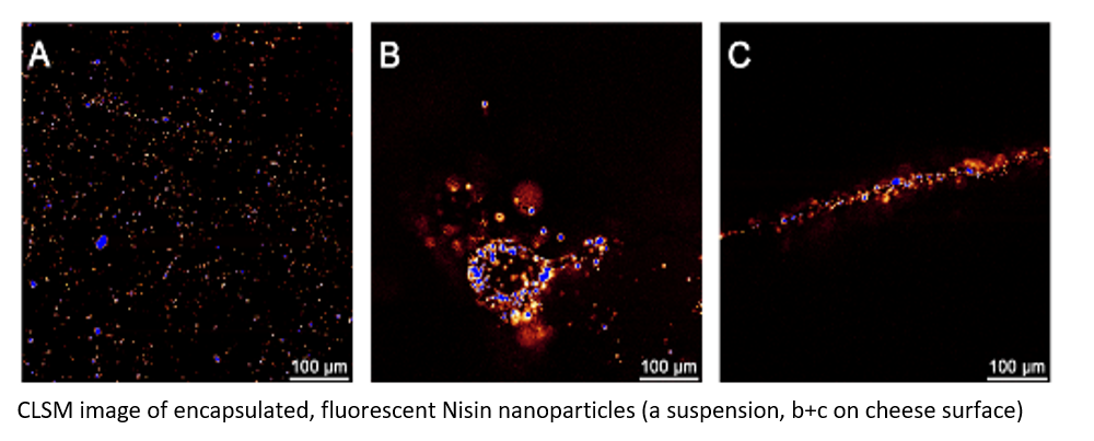 Encapsulation and delayed release of nisin for the treatment of cheese against listeria